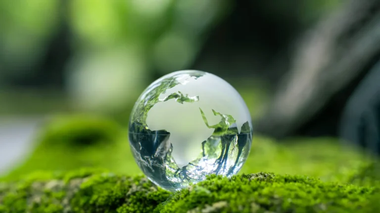 Net Zero Strategy & Science-Based Targets