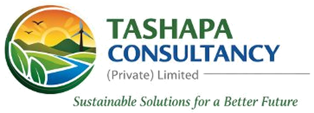 Tashapa Consultancy logo
